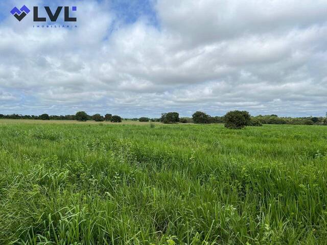 #416 - Fazenda para Venda em Cocalinho - MT