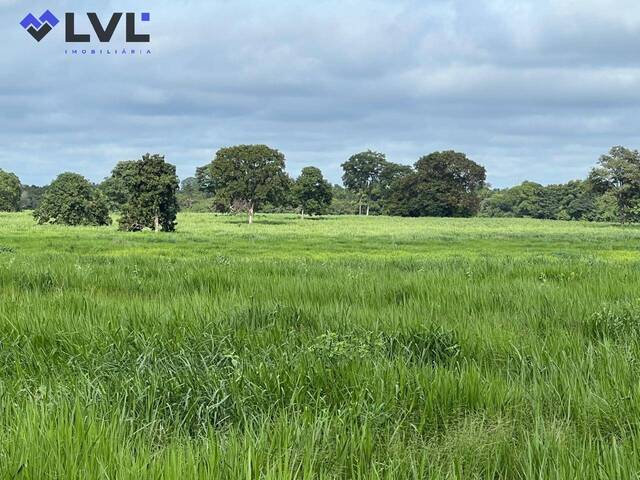 #416 - Fazenda para Venda em Cocalinho - MT