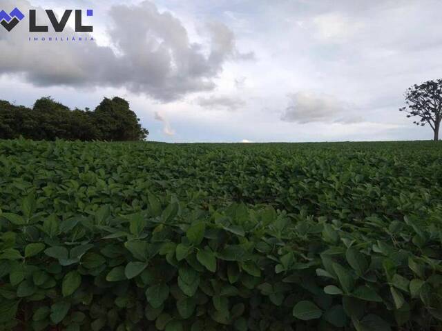 Sítio para Venda em Morrinhos - 5