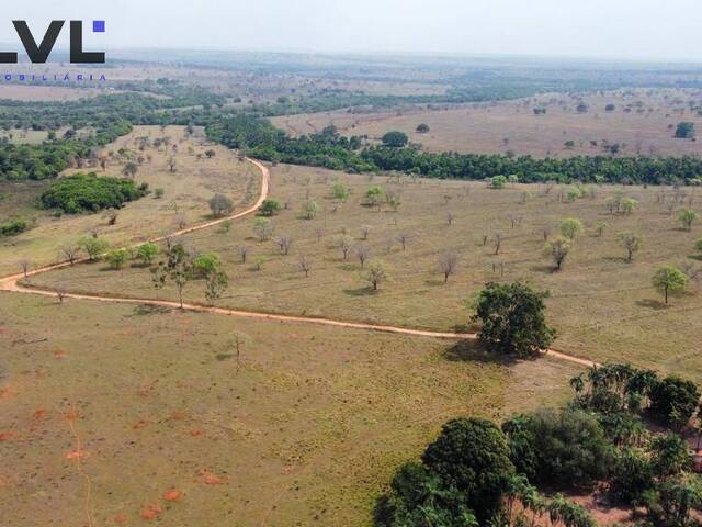 #420 - Fazenda para Venda em Itarumã - GO