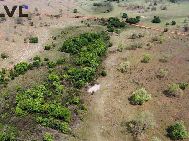 Fazenda para Venda em Itarumã - 5