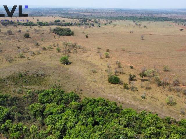 Fazenda para Venda em Itarumã - 4