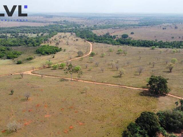 #420 - Fazenda para Venda em Itarumã - GO