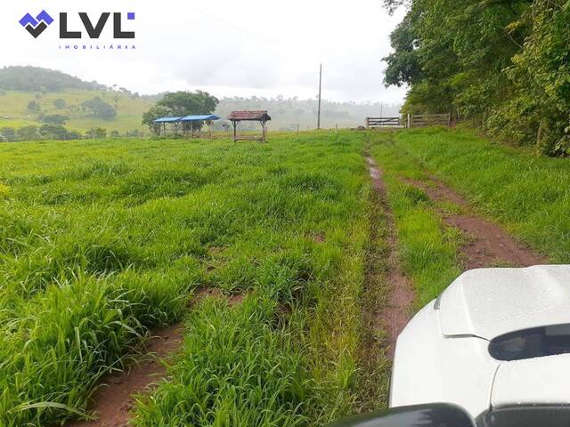 #421 - Fazenda para Venda em Santa Bárbara de Goiás - GO - 2