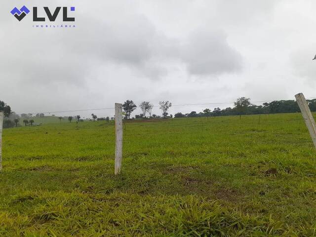 #421 - Fazenda para Venda em Santa Bárbara de Goiás - GO - 3