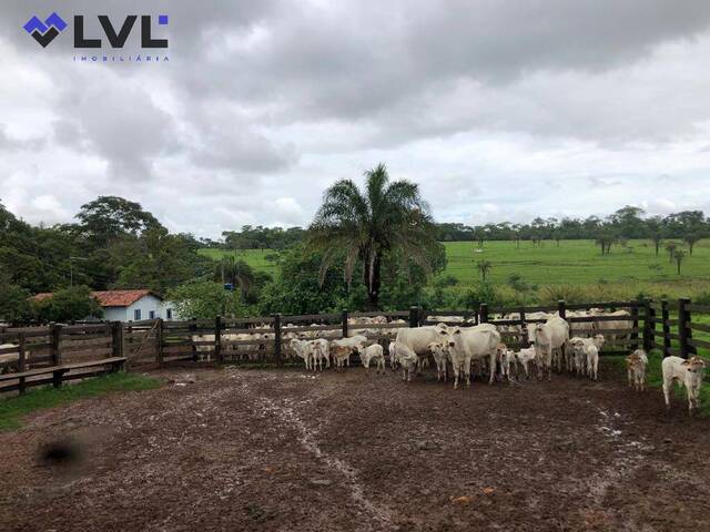 Fazenda para Venda em Santa Bárbara de Goiás - 4