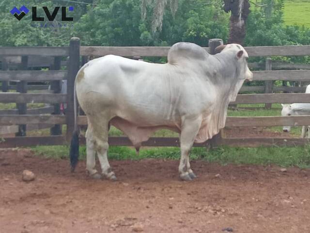 Fazenda para Venda em Santa Bárbara de Goiás - 5