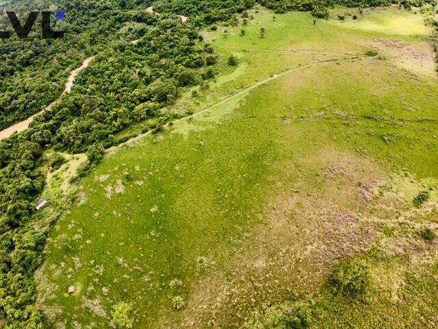 Sítio para Venda em Santa Isabel - 4