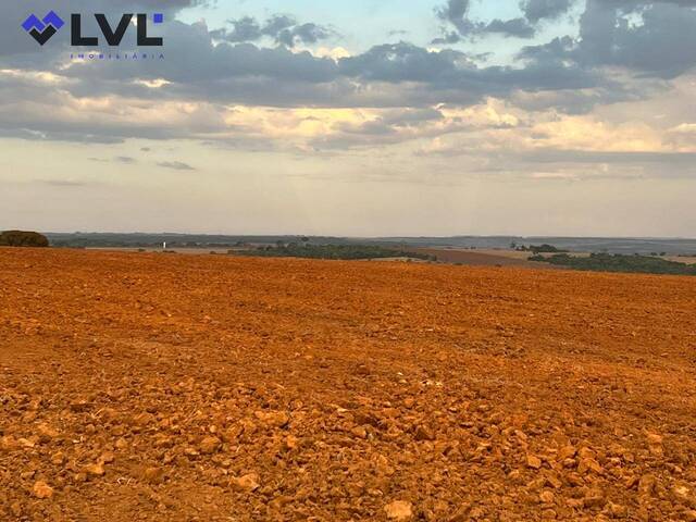 Sítio para Venda em Bela Vista de Goiás - 4