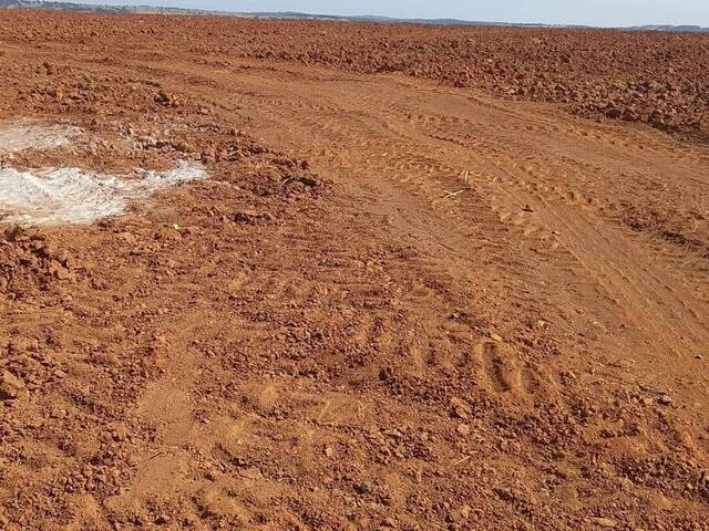 Sítio para Venda em Bela Vista de Goiás - 5