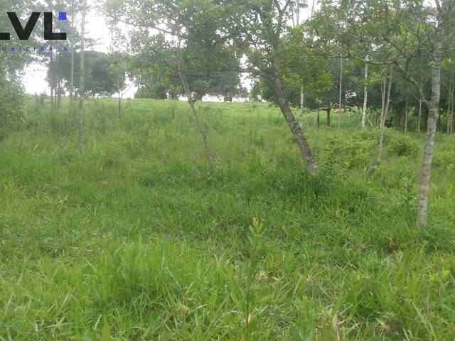 Chácara para Venda em Americano do Brasil - 5