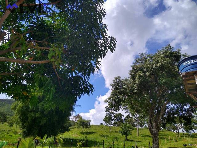 #434 - Sítio para Venda em Pirenópolis - GO - 2