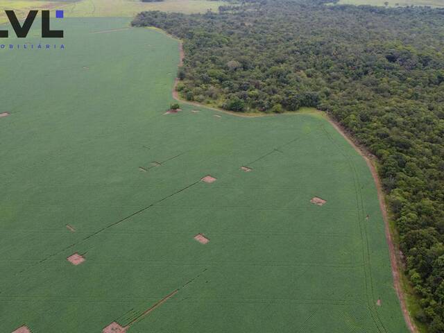 #332 - Fazenda para Venda em Itaberaí - GO - 2