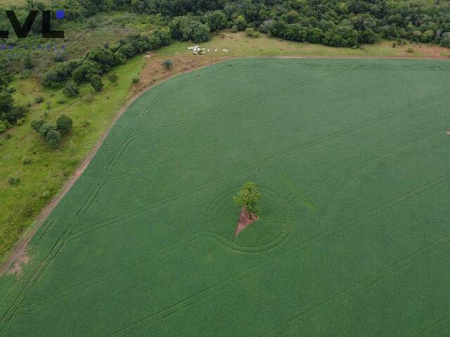 Fazenda para Venda em Itaberaí - 4