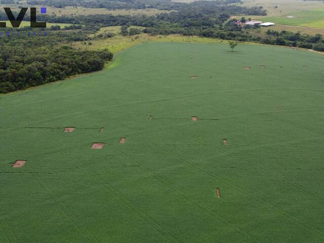Fazenda para Venda em Itaberaí - 5
