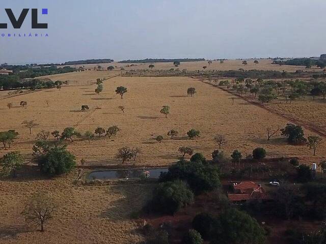 Sítio para Venda em Bela Vista de Goiás - 4