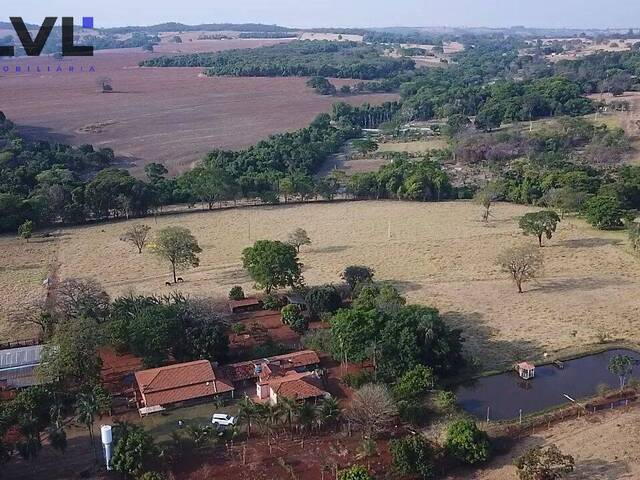 #435 - Sítio para Venda em Bela Vista de Goiás - GO - 3