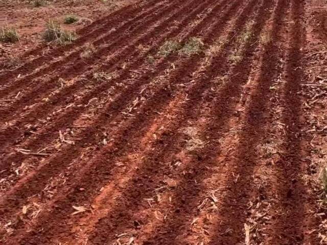 Fazenda para Venda em Morrinhos - 5