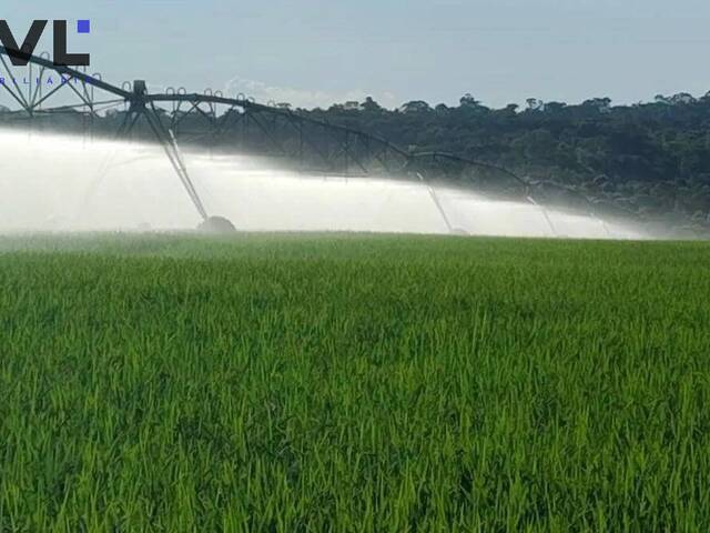Fazenda para Venda em Morrinhos - 4