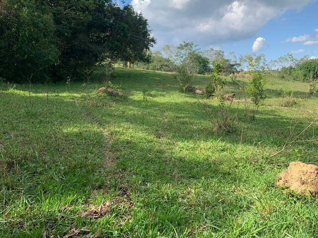 Chácara para Venda em Cristianópolis - 5