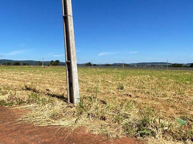 #439 - Terreno em condomínio para Venda em Guapó - GO - 3