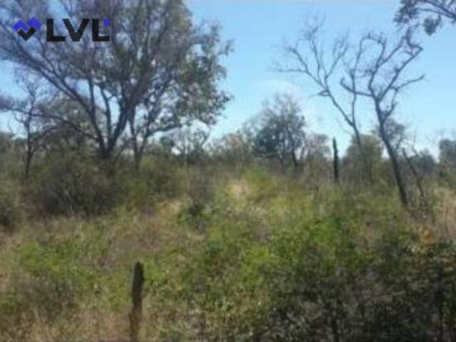 #441 - Fazenda para Venda em Cotegipe - BA - 2