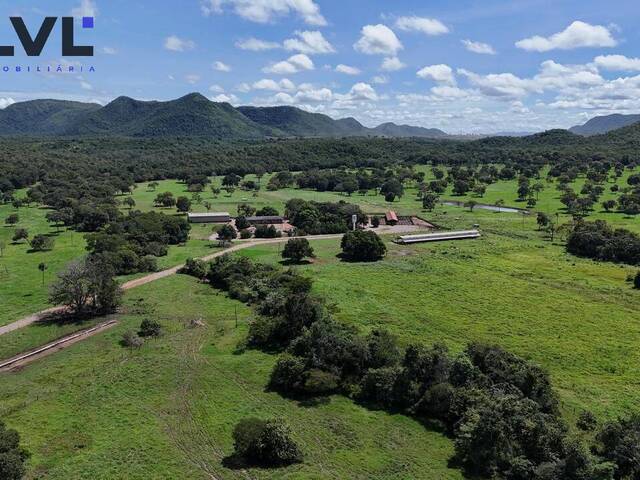 #442 - Fazenda para Venda em Natividade - TO - 2