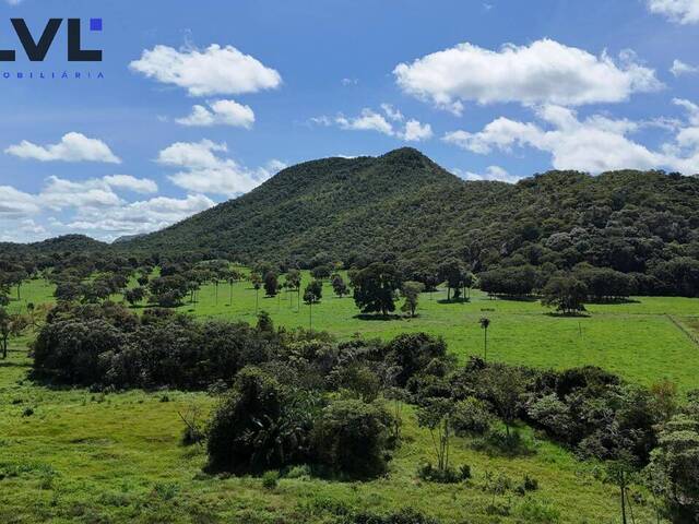 Fazenda para Venda em Natividade - 4