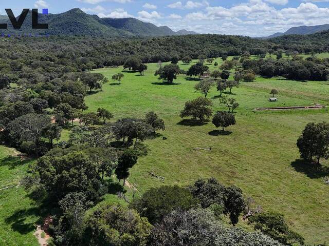 #442 - Fazenda para Venda em Natividade - TO - 3