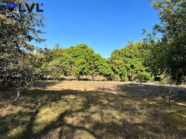 #444 - Fazenda para Venda em Natividade - TO - 3