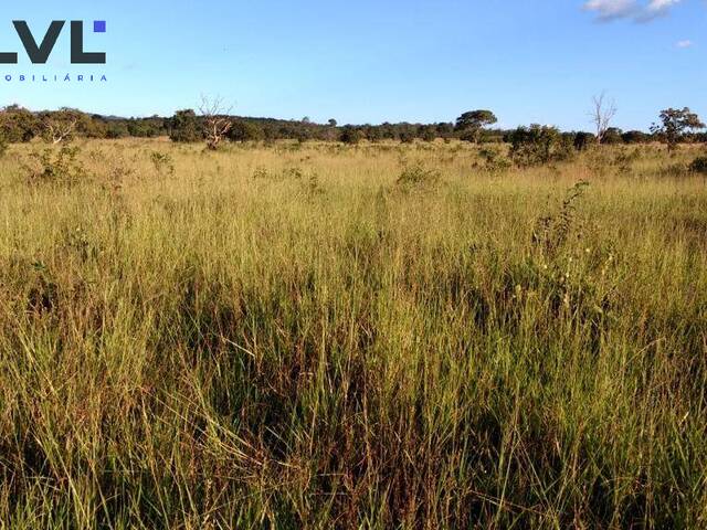 Fazenda para Venda em Natividade - 4