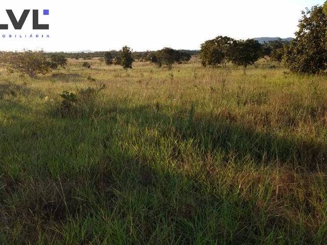 Fazenda para Venda em Natividade - 5