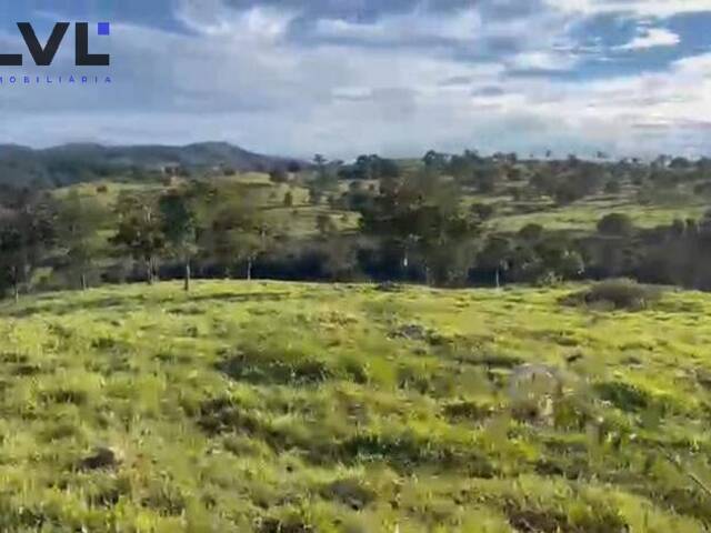 #445 - Sítio para Venda em Rubiataba - GO - 1