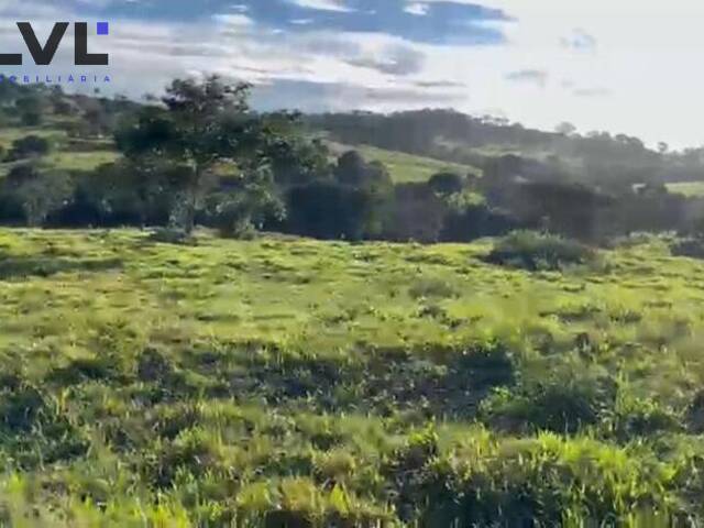 #445 - Sítio para Venda em Rubiataba - GO - 2