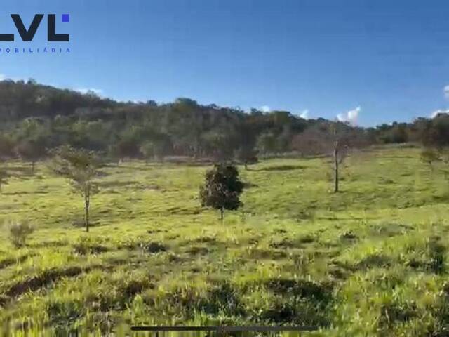 Sítio para Venda em Rubiataba - 4