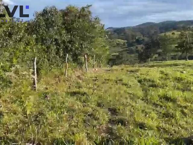 Sítio para Venda em Rubiataba - 5