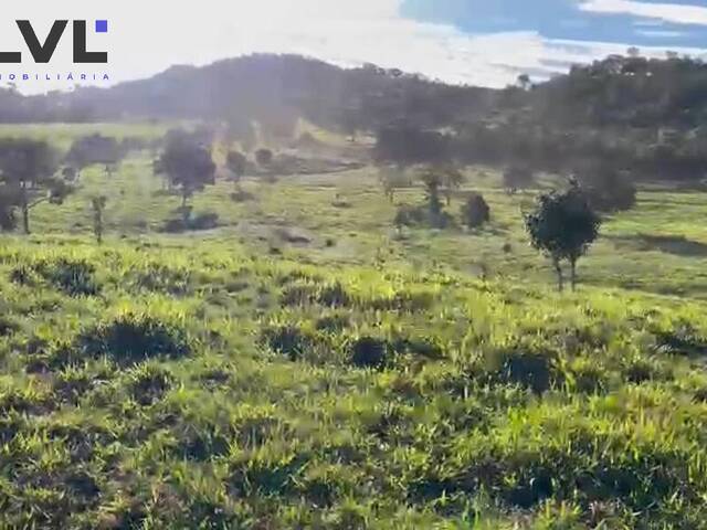 #445 - Sítio para Venda em Rubiataba - GO - 3