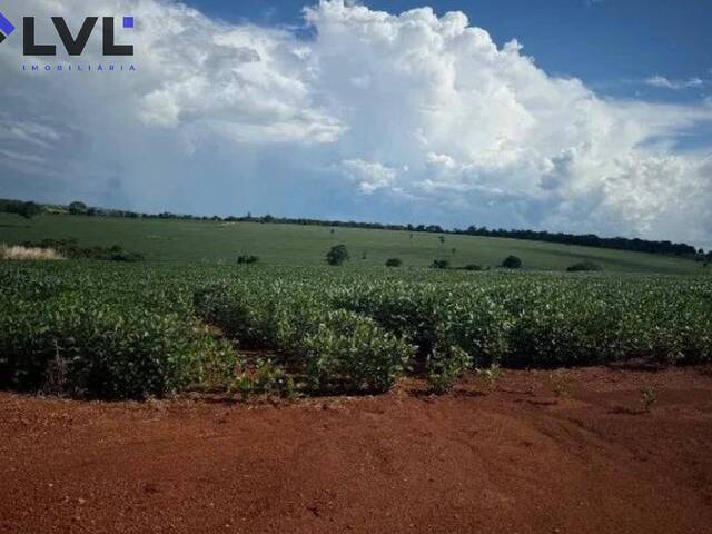 #446 - Sítio para Venda em Sanclerlândia - GO - 2