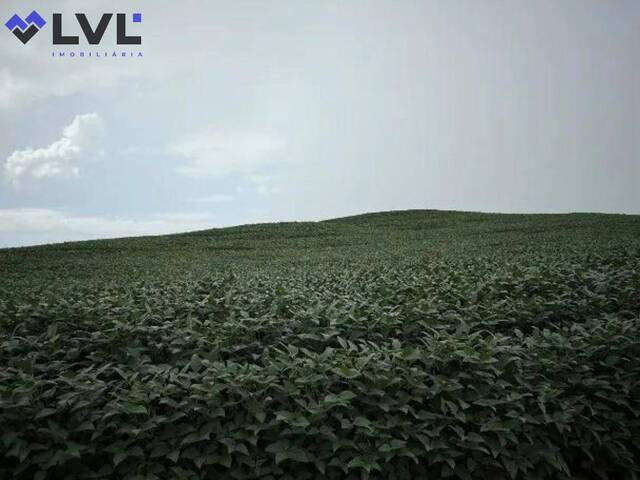 Sítio para Venda em Sanclerlândia - 4