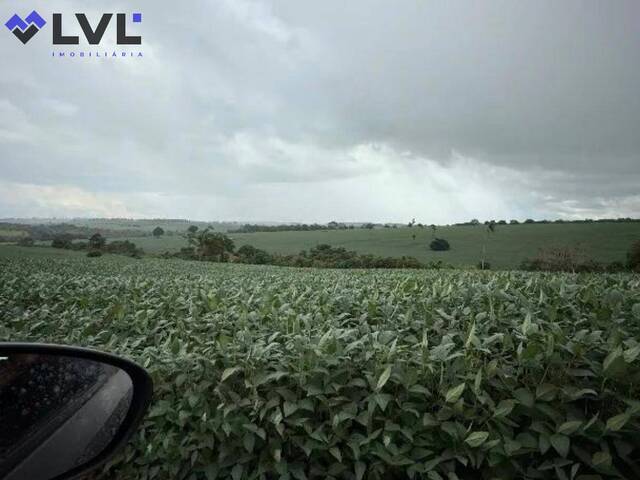 Sítio para Venda em Sanclerlândia - 5