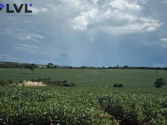 #446 - Sítio para Venda em Sanclerlândia - GO - 3
