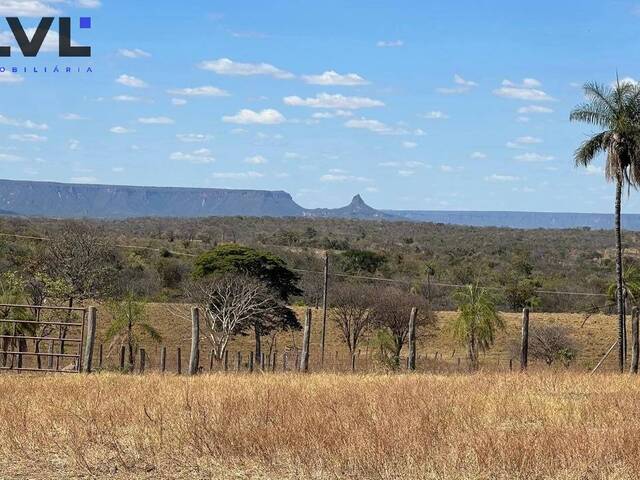 #447 - Fazenda para Venda em Divinópolis de Goiás - GO - 3