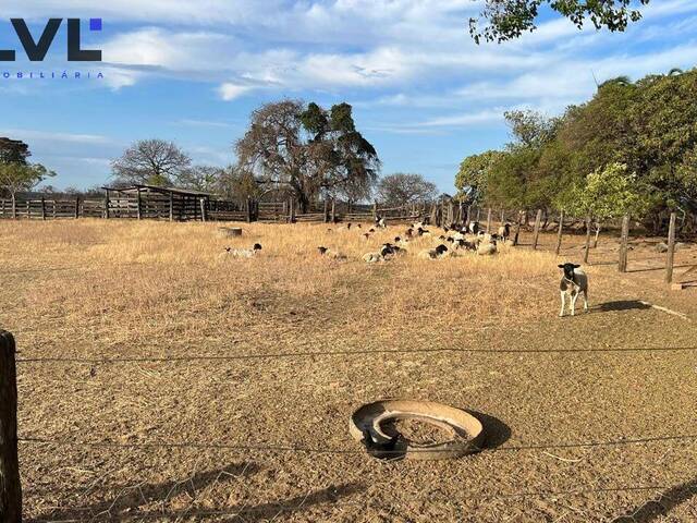 #447 - Fazenda para Venda em Divinópolis de Goiás - GO - 2