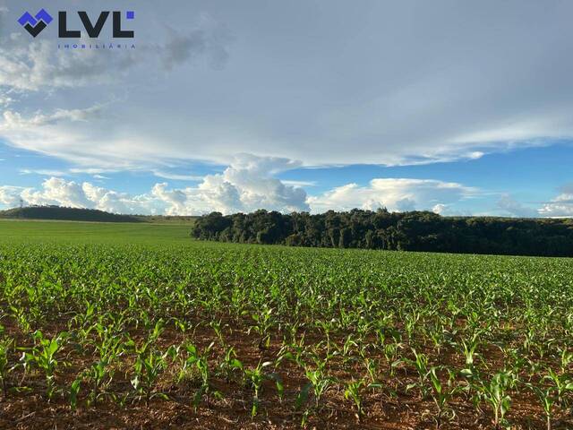 Venda em Zona Rural - Anápolis