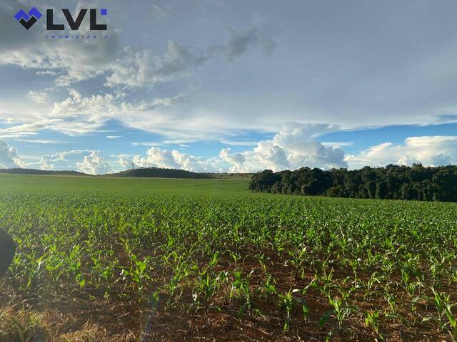 #448 - Fazenda para Venda em Anápolis - GO - 2