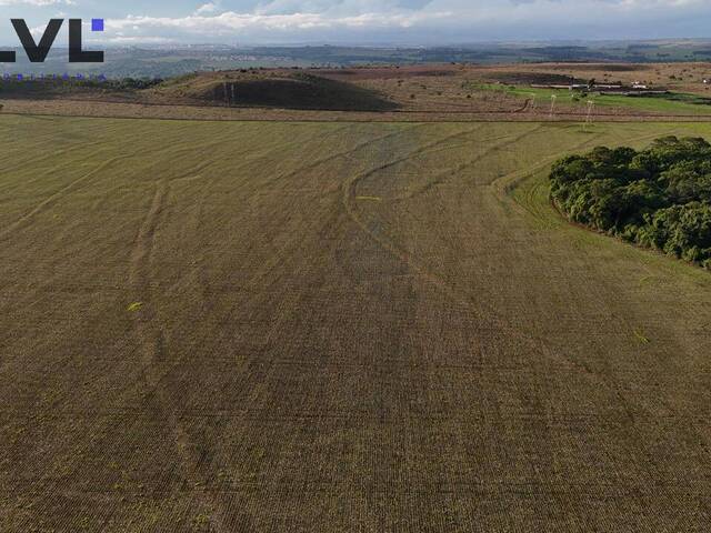 #448 - Fazenda para Venda em Anápolis - GO - 3
