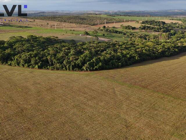 Fazenda para Venda em Anápolis - 5