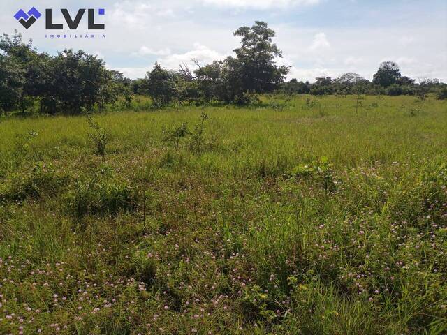 Fazenda para Venda em Natividade - 4