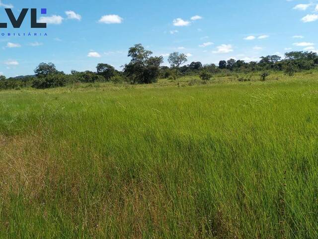 Venda em Zona Rural - Natividade