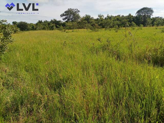 #449 - Fazenda para Venda em Natividade - TO - 2